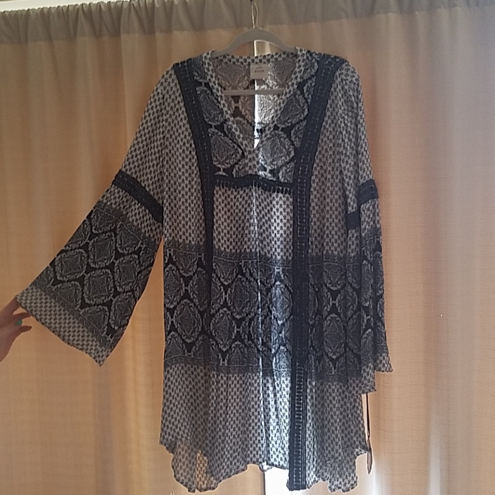 Sheer shirt dress